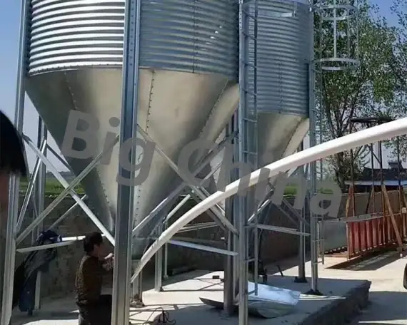 Оборудование Big Ducthman для свинокомплекса по выращиванию свиней из Китайского производителя., фотография 4