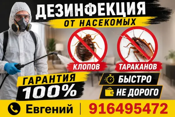 Дизъинфекцыя, фотография 1