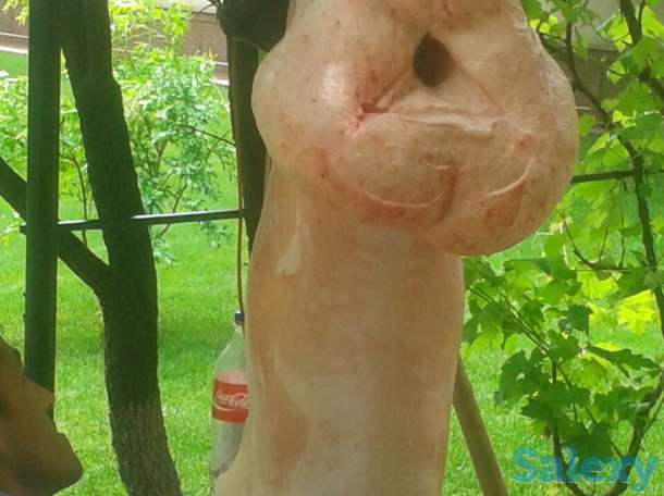 Кассоб сервис, Мясник Шер, фотография 1