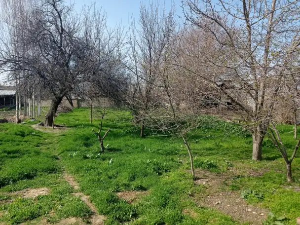 Продаётся Дом! Рядом всё необходимое: Школа, садик, магазины, автосервис!, фотография 11