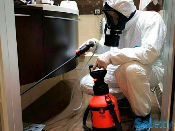 Дезинфекция от клопов и насекомых! Гарантия и Скидки!, фотография 6