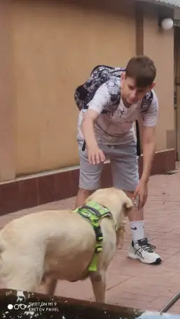 Отдам собаку в хорошие руки., фотография 4