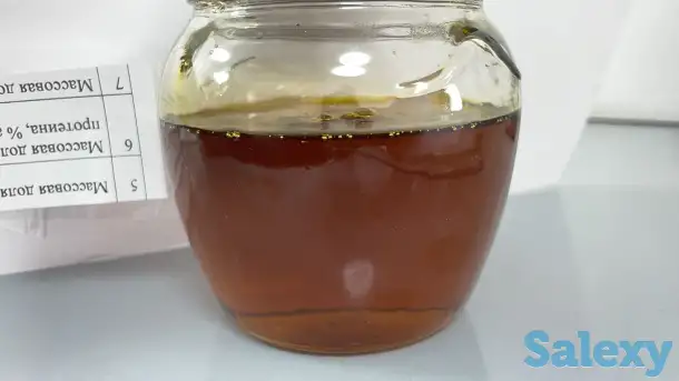 Соя бобы, соя шрот, соя нераф масло Казахстан, фотография 2