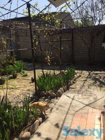 Продаю Дом, Юнус Абадский район, 3-й проезд Богиравон 19, фотография 5