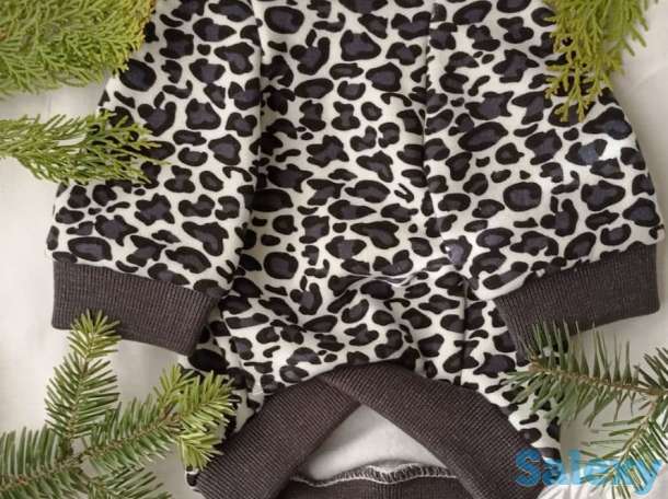 Кофточка (для мопсов), фотография 1