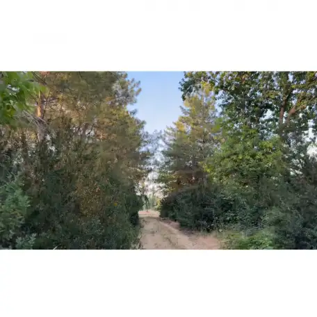 Бывший пионерский лагерь, Краснагорск, фотография 8