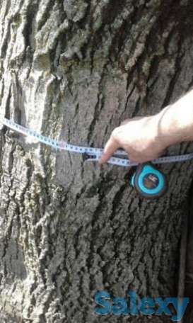 Пиломатериал, фотография 1