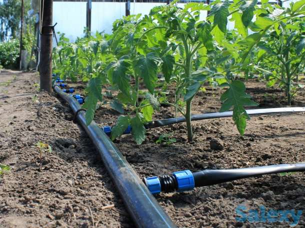 Поставки системы капельного орошения и плёнки для теплиц из Ирана, фотография 1