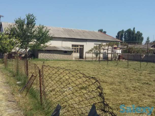 Продается дом в районе Янгихает махалла Джалоир, фотография 6