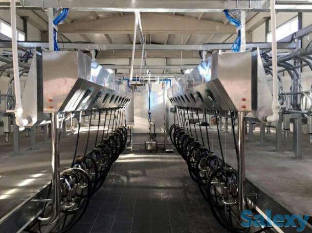 СУТ СОҒИШ ЗАЛЛАРИ, фотография 1