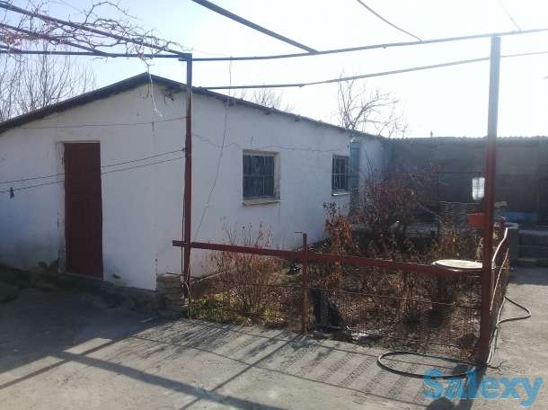 Продается два дома на окраине Чирчика, поселок Азадбаш, фотография 3