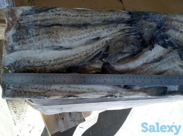 Замороженная рыба оптом минтай, горбуша, навага, сельдь ДЕШЕВО, фотография 3
