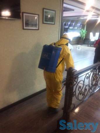 Дезинфекция от насекомых, фотография 6