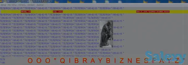 Бухгалтерская программа БП5, фотография 1