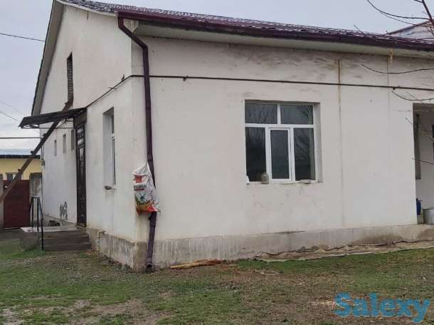 Коттедж 6 соток недалеко от г. Ташкента, фотография 2