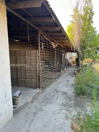 Продажа земли сельскохозяйственного назначения, Toshkent viloyati, Yangiyo'l tumani, Qora tepa MFY, Guliston ko'chasi, 56-uy., фотография 6