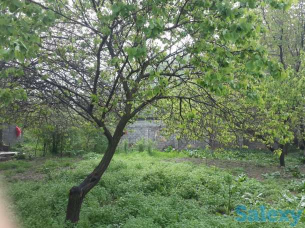 Продается дом недалеко от города Чирчик., фотография 2