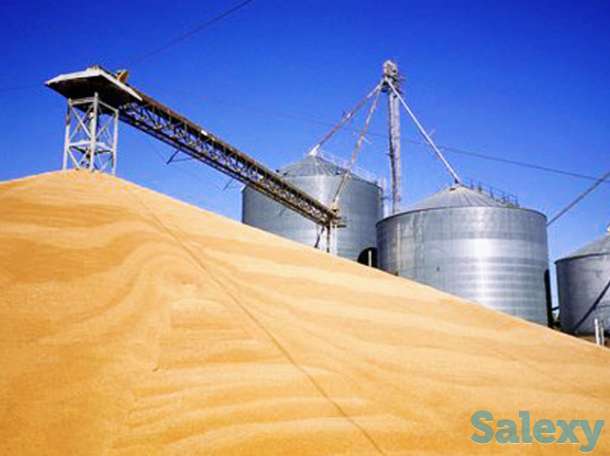 Мука пшеничная производства МПО Хлебный дом Казахстан, фотография 1