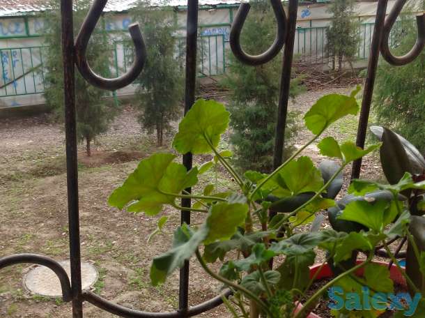 Продаю Ттз1-2/1/4 Балкон 2*6 Комнаты раздельные Стартовая цена 34500уе, фотография 11