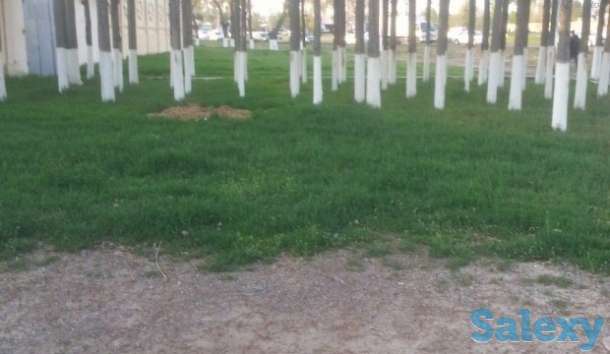 Срочно Земельный Участок 40-43 соток СВОЙ, Адрес: ул, Паркентская-296 дом,, фотография 4