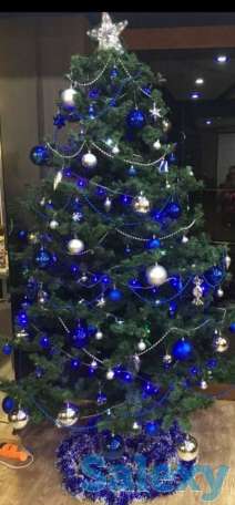 Ёлка, фотография 1