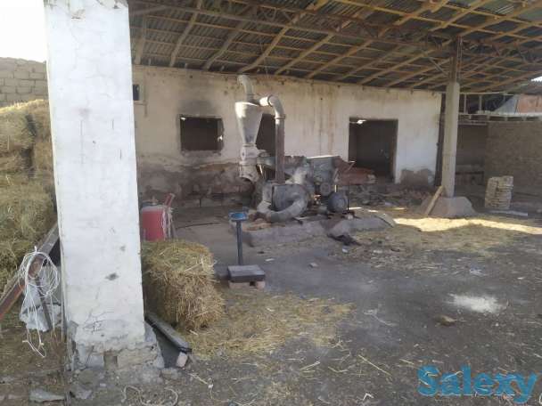 База для сельхоз. или др. бизнеса в Ташобласти, 57 соток. От хозяина, не риелтор., фотография 3