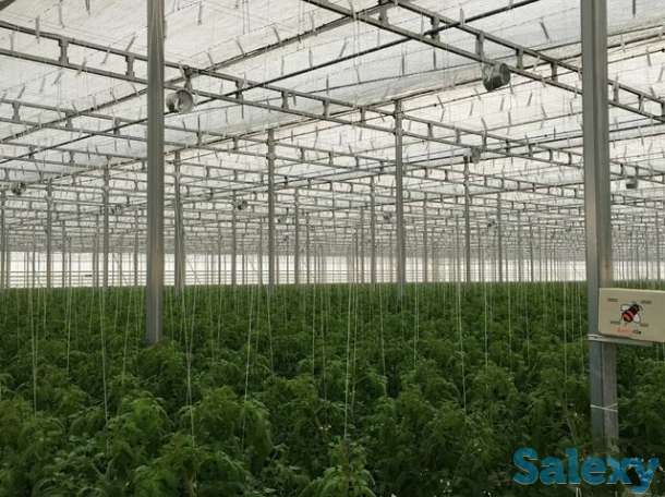 МОНТАЖ КОРЕЙСКИХ ТЕПЛИЦ ПОД КЛЮЧ, фотография 3