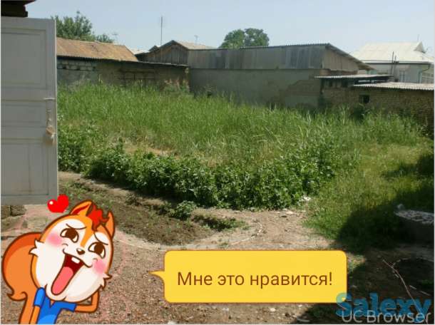 Продается два участка в Гулестане, фотография 4