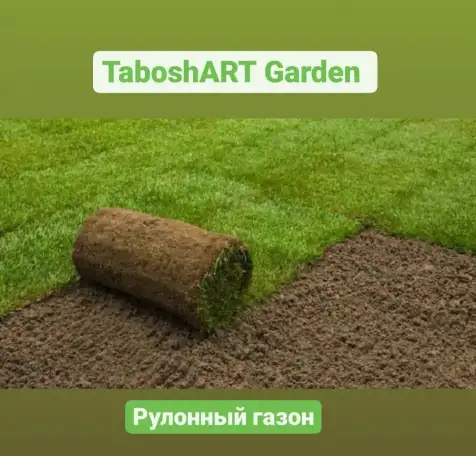 Комплексный уход за газоном и Хвойными, фотография 8