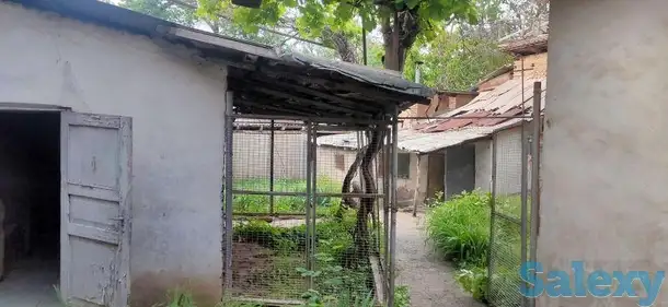 Продам дом with земельный участок, Ифтихор 15, фотография 1