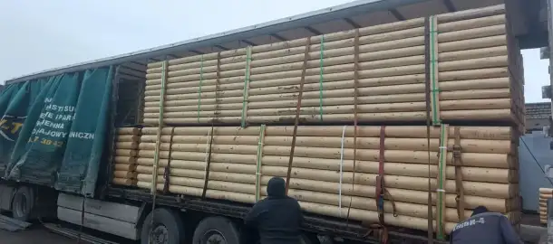 Производитель предлагает оцилиндрованное и окоренное бревно 10-16см без коры., фотография 7