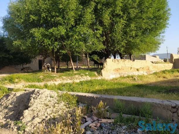 Ер сотилади, вилояти тумани, фотография 5