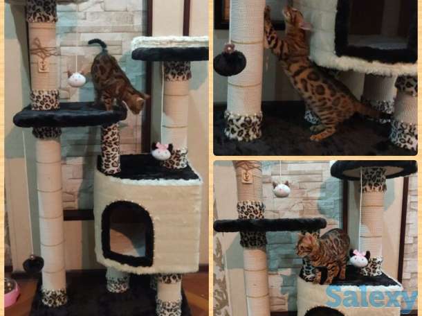 Когтеточка для кошки. Игровой комплекс для кошки. Дом для кошки., фотография 6