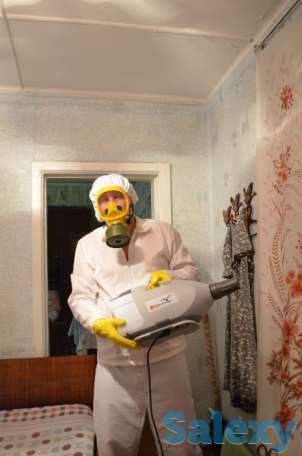 Дезинфекция от клопов и насекомых! Гарантия и Скидки!, фотография 1