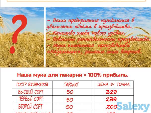 Мука пшеничная производства МПО Хлебный дом Казахстан, фотография 3