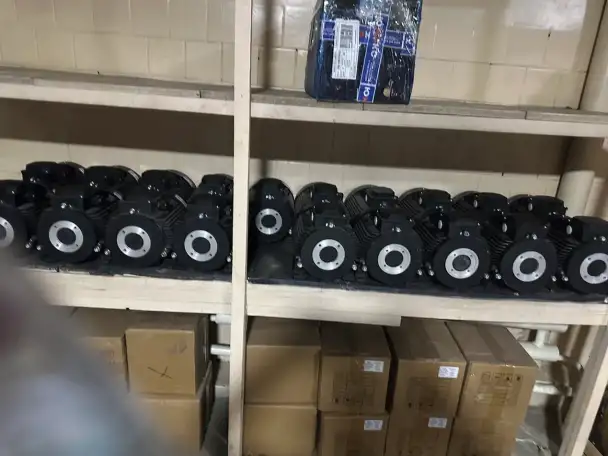 Moy sam uskulari, фотография 7