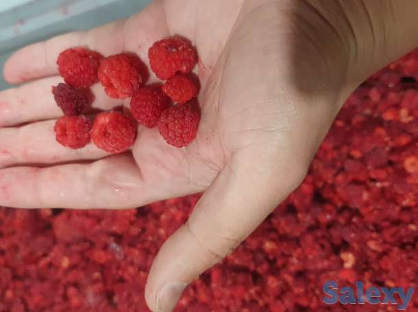 Замороженные овощи и фрукты, фотография 2