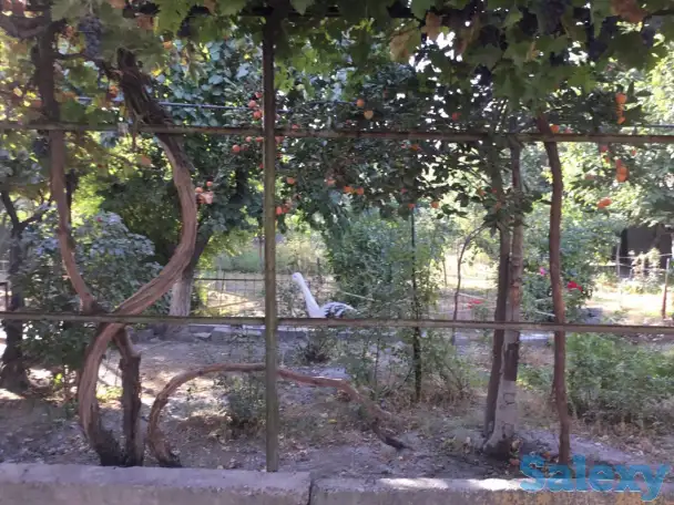 Продается дом в Tашкентской области с большим участком, гаражом и садом с фруктовыми деревьями, фотография 3