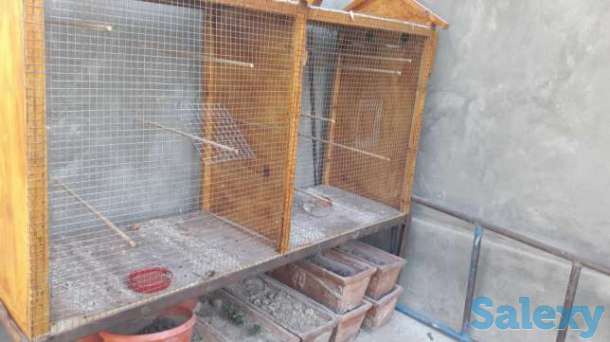 Клетка, фотография 1