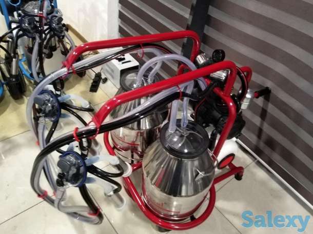 Доильный Аппарат для коров из Турции, фотография 2