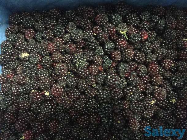 Замороженные фрукты и ягоды, фотография 3