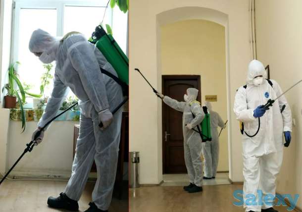 Professional Dezinfeksiya, фотография 1