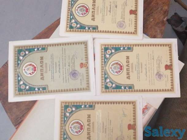 Грамоты спортивные., фотография 5