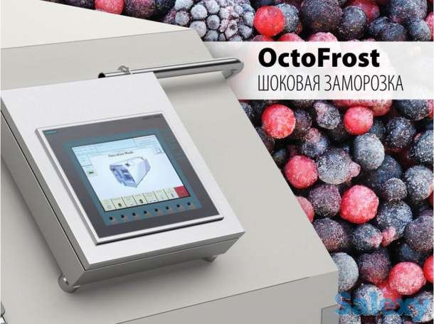 Шоковая заморозка фруктов и овощей, фотография 3
