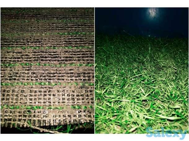 Искусственный газон для оформления живых уголков., фотография 3