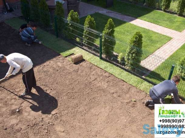 Газоны Мы предлагаем Вам качественный посев газонной травы таких известных производителей как Trifolium DLF, Canada Gree, фотография 4