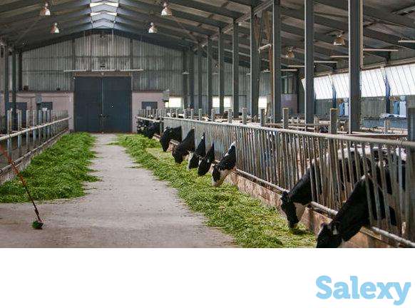 Требуются на работу, фотография 1