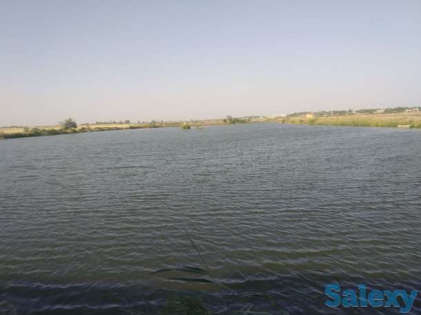 Рыбхоз Алимкент. 11 гектар. готовый рабочий пруды, фотография 3