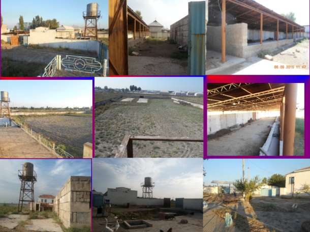 Тошкент вилоятида   бизнес очишга кизиккан одамлар учун 1гектарли  кулай хусусий уй жой хамма иш фаолияларига мос., фотография 1