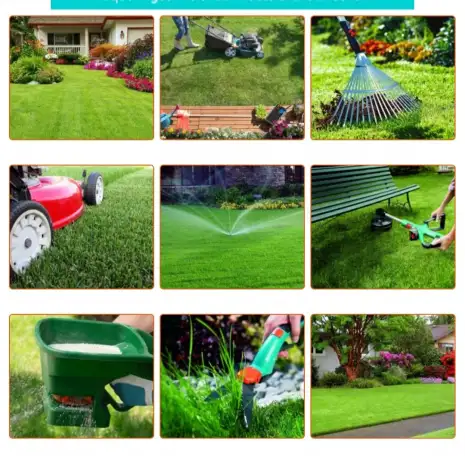 Комплексный уход за газоном и Хвойными, фотография 2